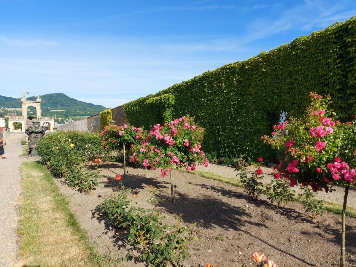 Apartments Rose Garden Decin Eksteriør billede